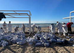 Запорожская область набирает волонтёров для уборки загрязнений мазутом 