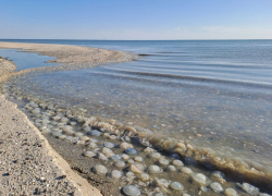Штормовое предупреждение из-за двухметровых волн на Азовском море объявили в Запорожской области