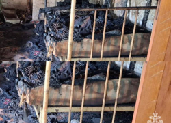 Пожар в Приморском районе стал последним уроком для курильщикоа