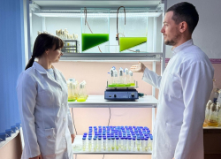 Биологи нашли неизвестный штамм богатых антиоксидантами микроводорослей в Мелитополе