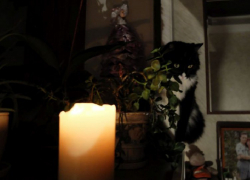 Жители какого села Запорожской области останутся без света 18 сентября