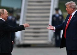 Прекращение огня в Запорожье: опубликован план Путина по завершению СВО