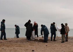 Более 1000 мешков мазута собрали на Бердянской косе