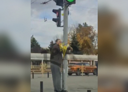 На видео сняли, как парень надругался над светофором в Запорожье