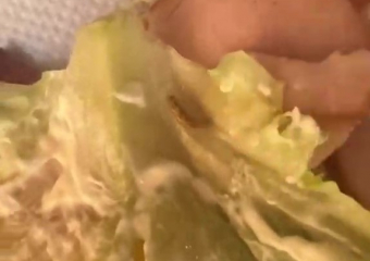 Круассан с опарышем купила в пекарне жительница Запорожья