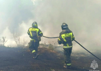 В Запорожской области настрого запретили разводить костры