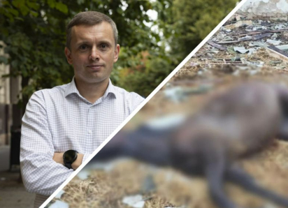 Новости СВО: НАТО не вступится, если РФ ударит по Балтике, Киев начал войну с лошадьми в Запорожье