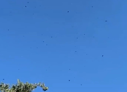 Появилось видео, как обломки украинских дронов посыпались с неба при защите Мелитополя