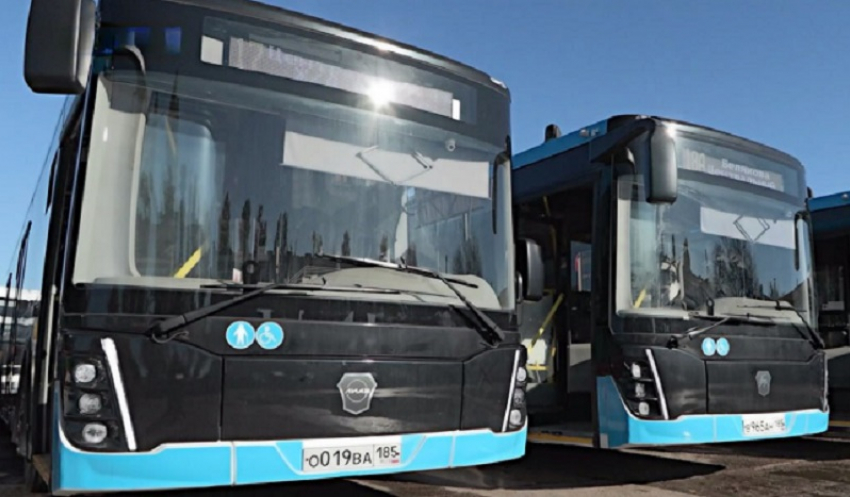140 новых автобусов вышли на маршруты в Мелитополе и Бердянске