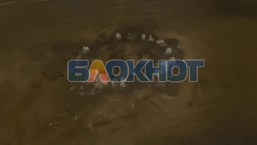 Жители Мелитополя показали, как улицу Ярослава Мудрого затопило водой после мощного прорыва трубы