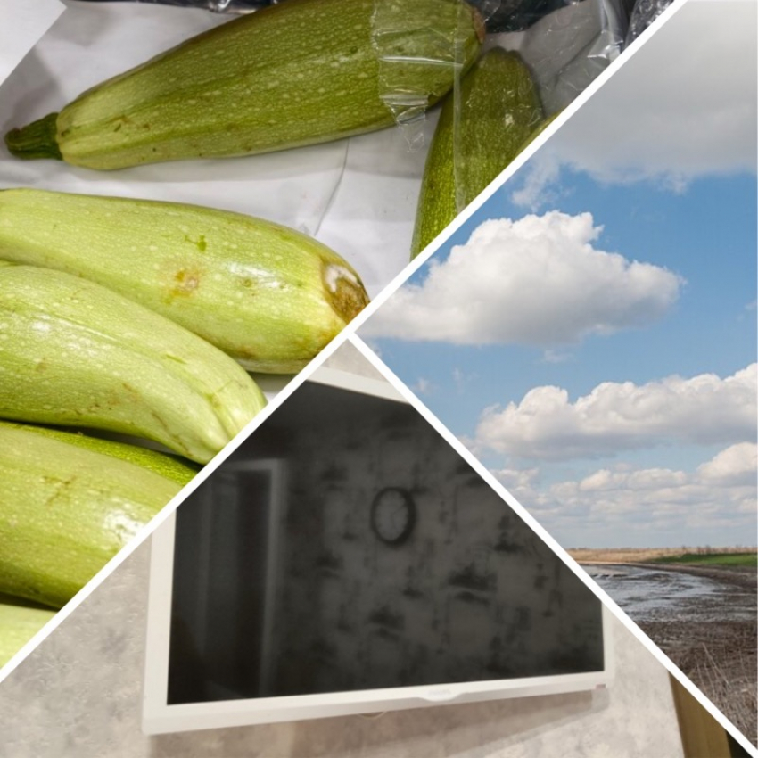 Новости Запорожья: мелитопольский супермаркет торгует гнилыми овощами, отключение кабельного ТВ и спасение Молочного лимана