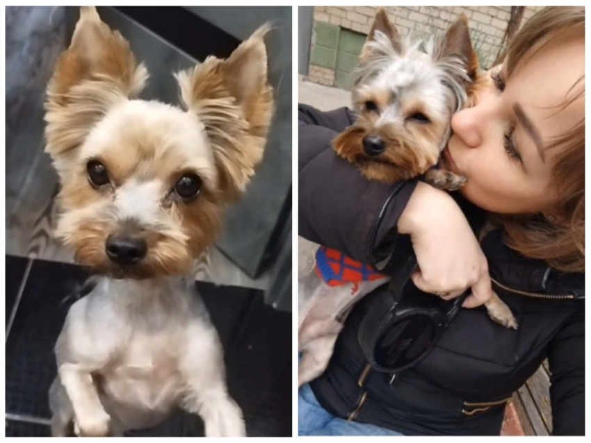 Новая беда случилась с мамой сбитой экс-прокурором в Мелитополе Лизы Мелиховой