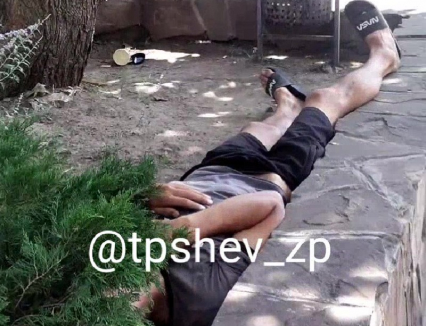 В Запорожье на видео засняли уснувшего в клумбе мужчину