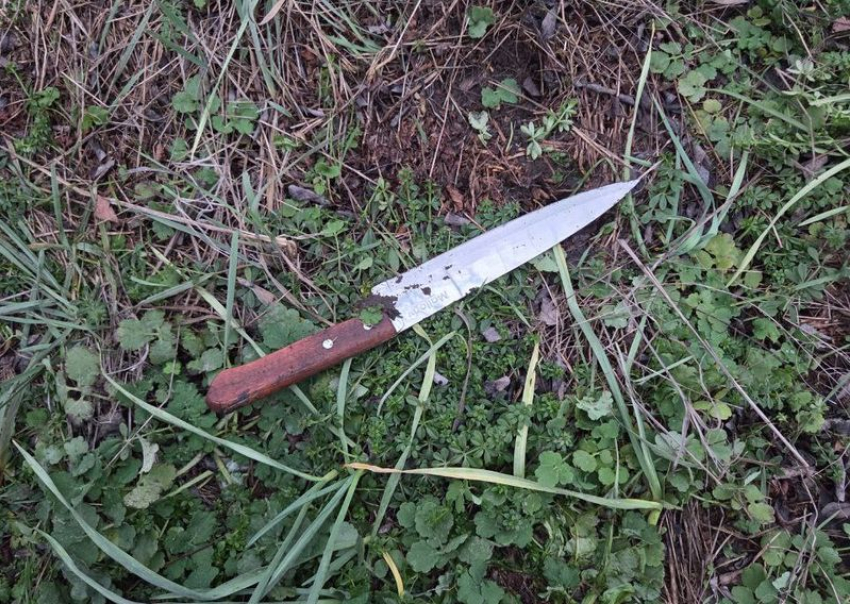 Житель Каменки-Днепровской признался, что распорол живот ножом своему другу