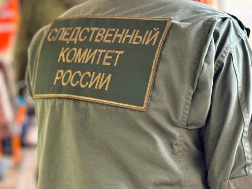 СК России расследует смертельную атаку ВСУ по машине в Пологовском округе