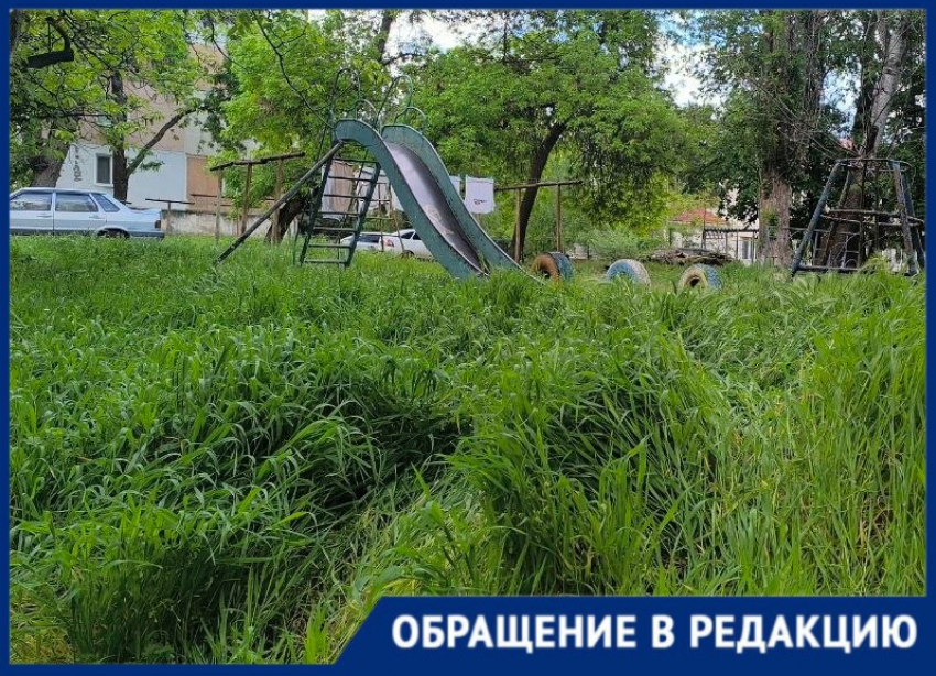«Боимся выпускать детей»: жители Днепрорудного показали заросшую площадку во дворе многоэтажки