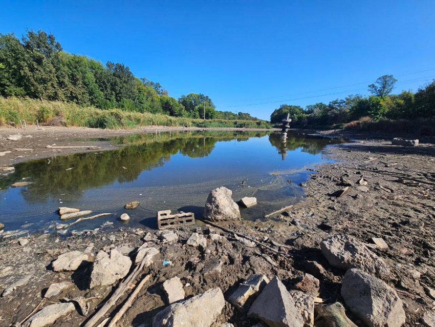 Нефтепродукты нашли в пруду Запорожья после массового мора рыбы  