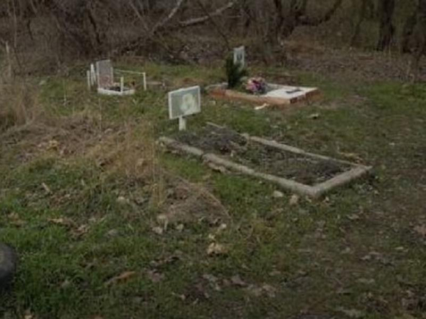 Развлекательный комплекс собрались строить на костях животных в Запорожье