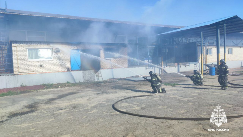 В Семеновке ликвидирован пожар на предприятии по производству гидравлического оборудования