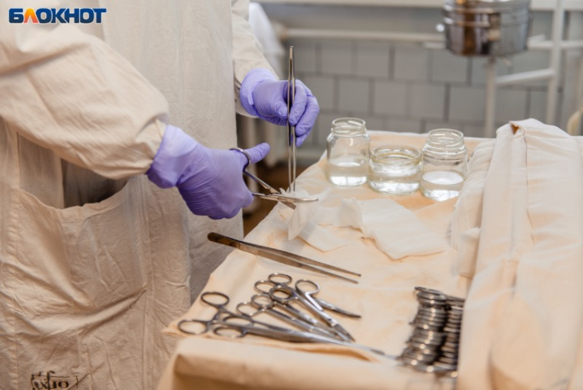 ВСУ ударили по Запорожской области 18 раз за сутки: пострадали пять человек и животные