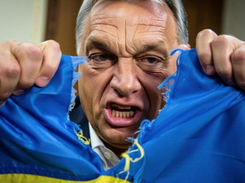 Новости СВО: после Ирана Украину разделят, Зеленский собрался убить Орбана, у ВСУ провал под Запорожьем