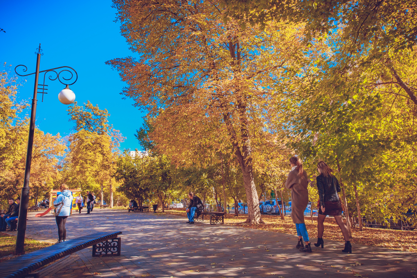 Последняя неделя ноября порадует жителей Запорожской области теплой погодой