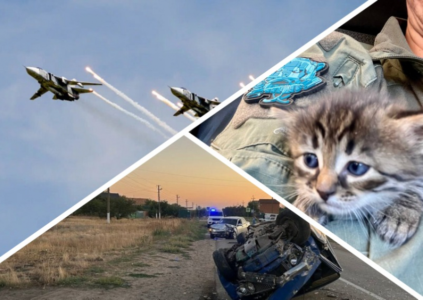 Новости Запорожья: котёнка спасли из минной ловушки, ДТП с пострадавшими подростками и дата окончания СВО