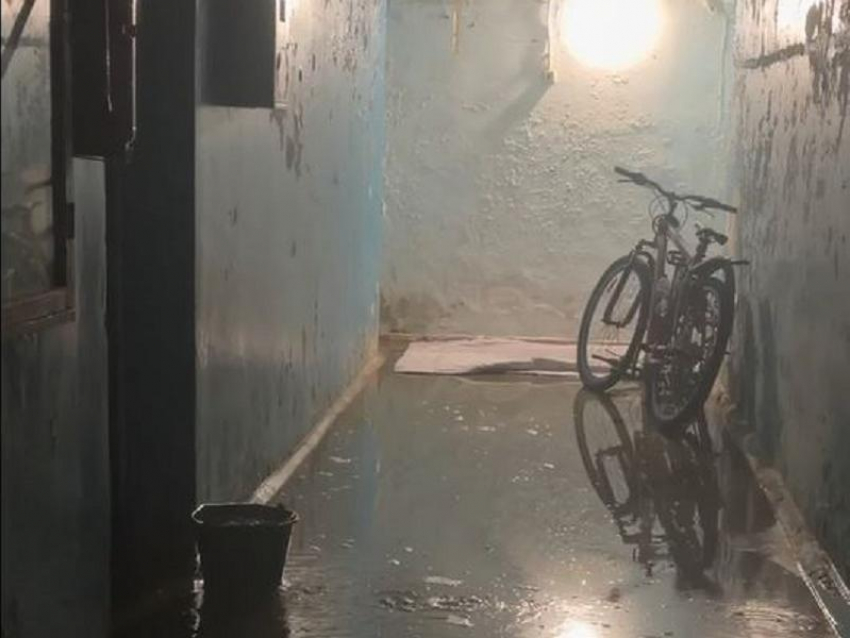 «Проводка под открытым небом»: дожди затопили дом в Васильевке