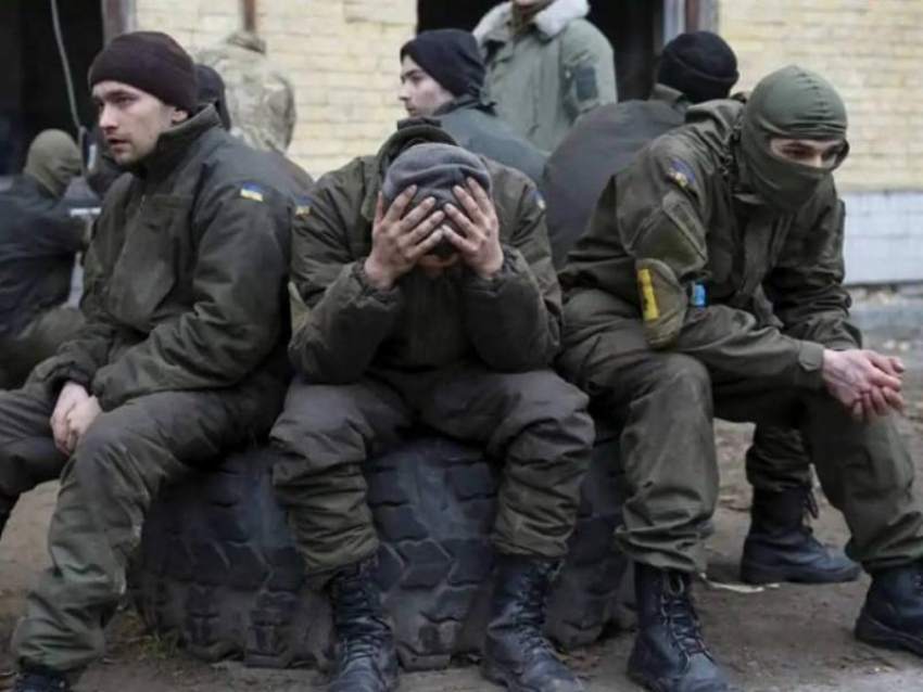 Новости СВО: ВС РФ прорвали крайнюю линию обороны ВСУ в Запорожье, визит Уиткоффа в Москву и смерть «айдаровцев» 