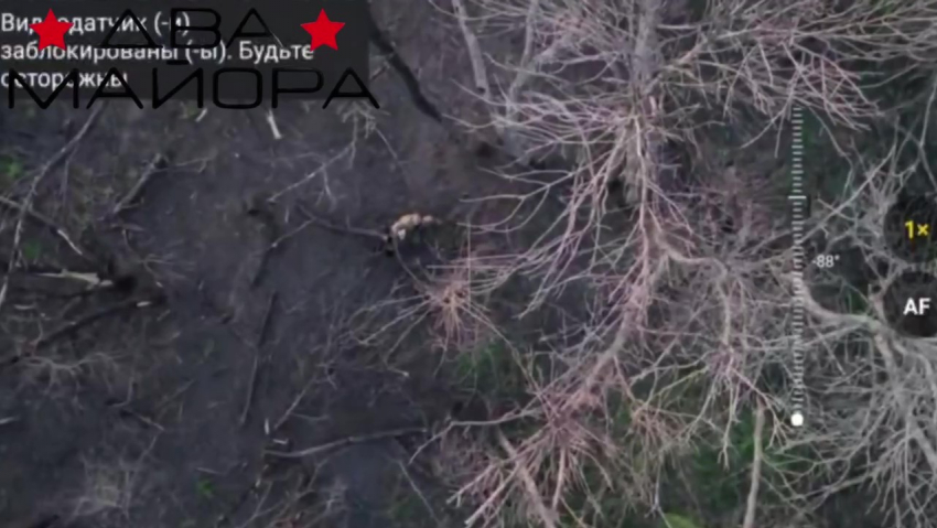 Военные ВС РФ показали, как дроны-курьеры снабжают раненого солдата водой в Запорожской области