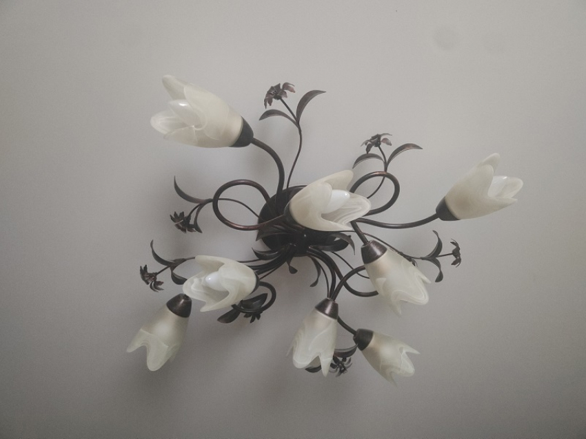 Шквалистый ветер оставил без света более 11 тысяч жителей Каменско-Днепровского округа