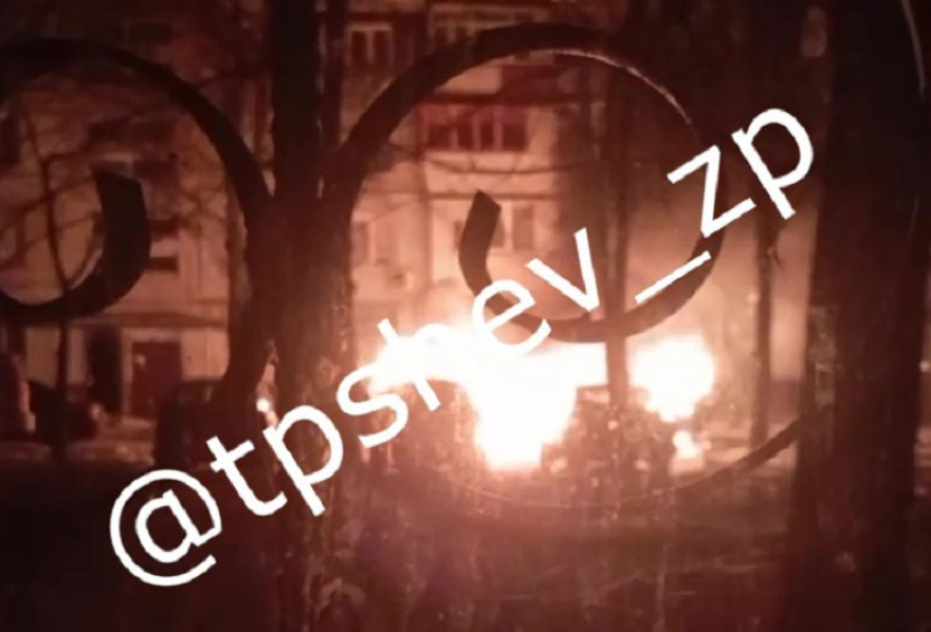 Электрокар от Илона Маска внезапно загорелся в запорожском дворе