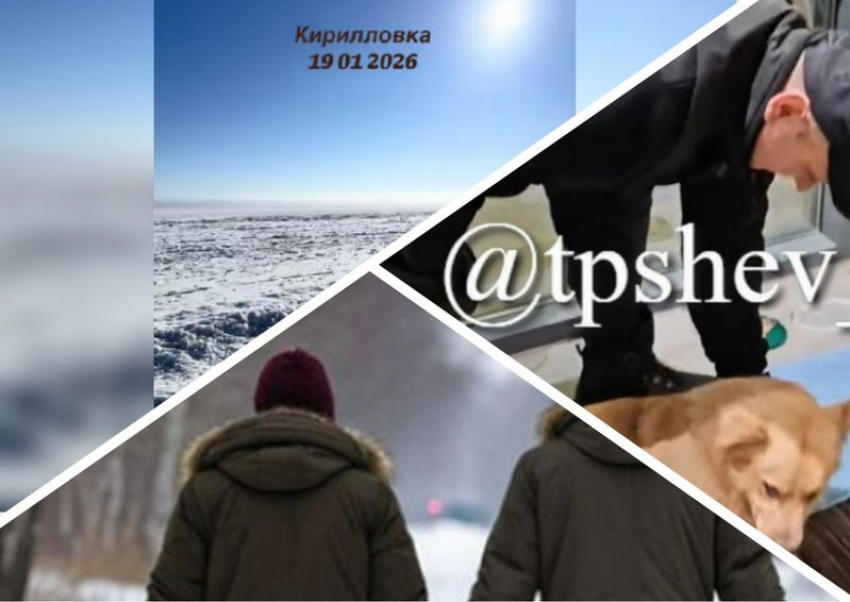 Новости Запорожья: Азовское море заледенело, уход днепрорудненцев из города и подлый поступок охранника