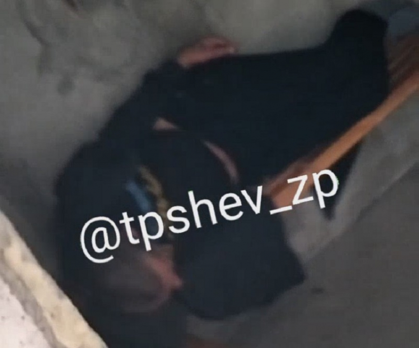 В новых модульных укрытиях в Запорожье поселились бездомные