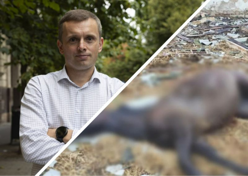 Новости СВО: НАТО не вступится, если РФ ударит по Балтике, Киев начал войну с лошадьми в Запорожье