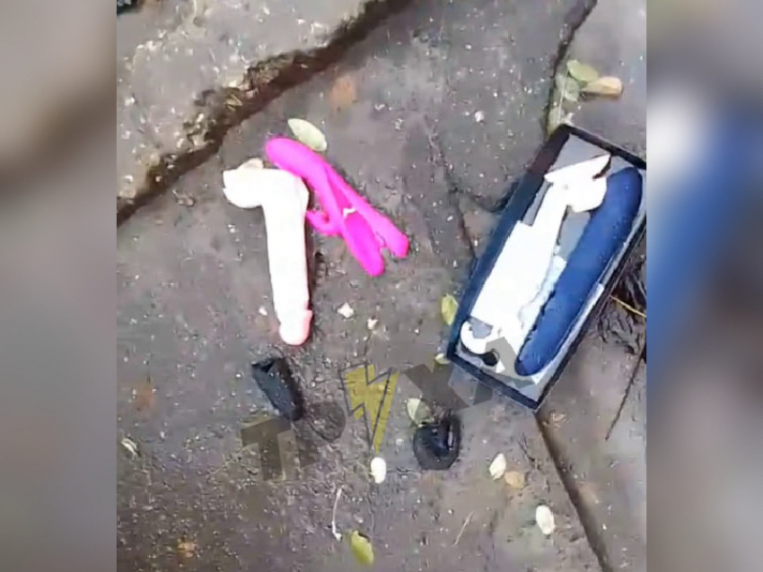 Жительница Запорожья решила порадовать бездомных резиновыми членами