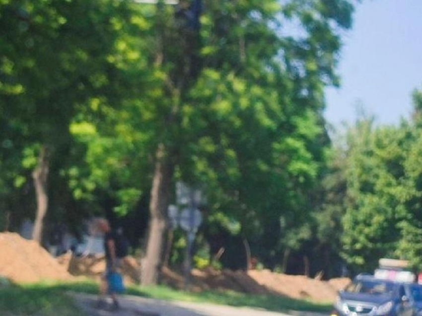 Водители просят обратить внимание на опасную листву на перекрёстке в Запорожье