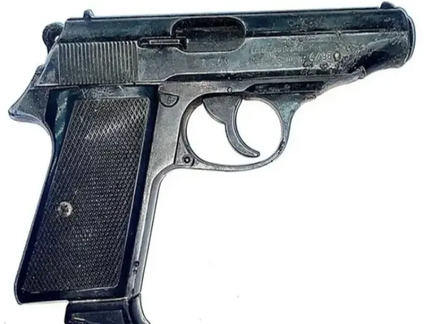 Житель Запорожской области прятал нелегальное оружие в пчелином улье