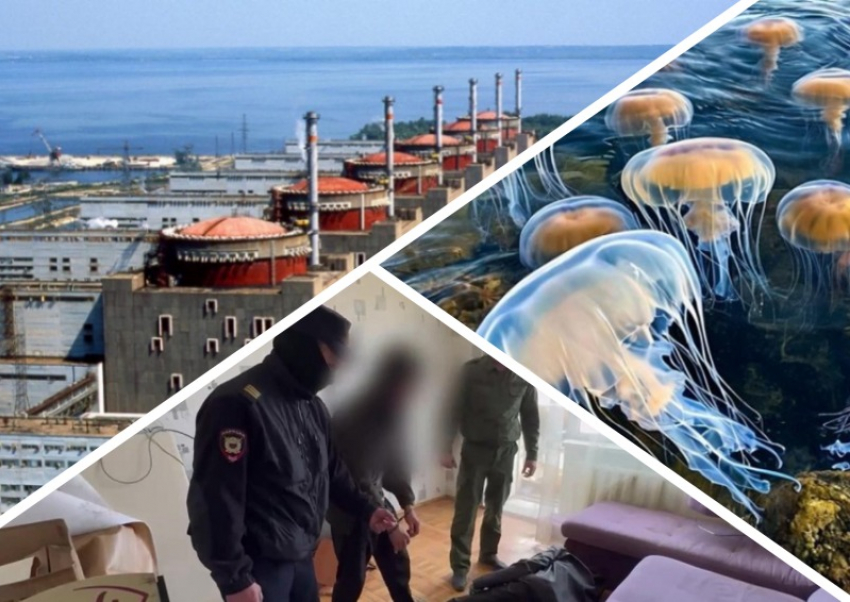 Новости Запорожья: питание ЗАЭС начали восстанавливать, смертельное избиение в Мелитополе и нашествие медуз 