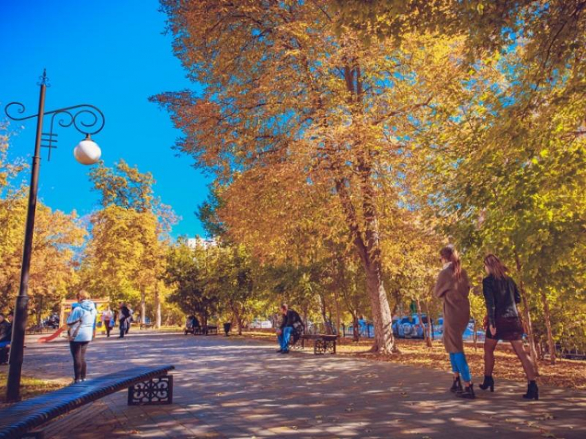 Последняя неделя ноября порадует жителей Запорожской области теплой погодой