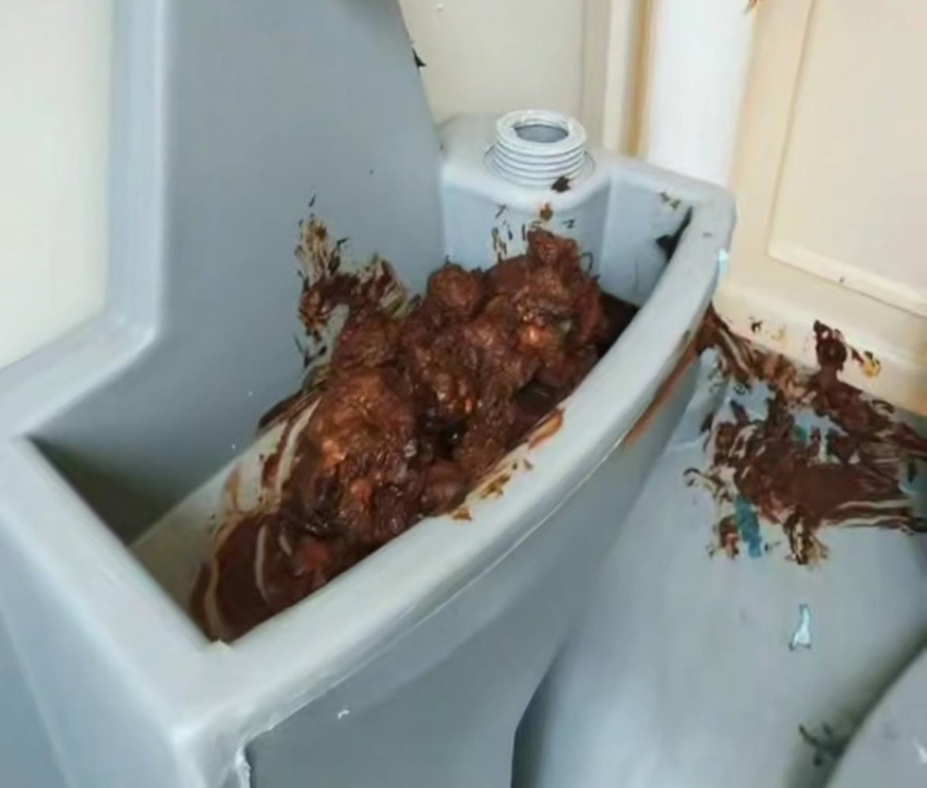 Неизвестные обмазали фекалиями новый биотуалет в Запорожье