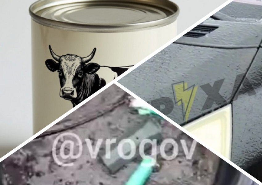 Новости Запорожья: аномальная погода «заморозила» машину, фейк об отравлениях сгущенкой и мины-зажигалки в Васильевке 