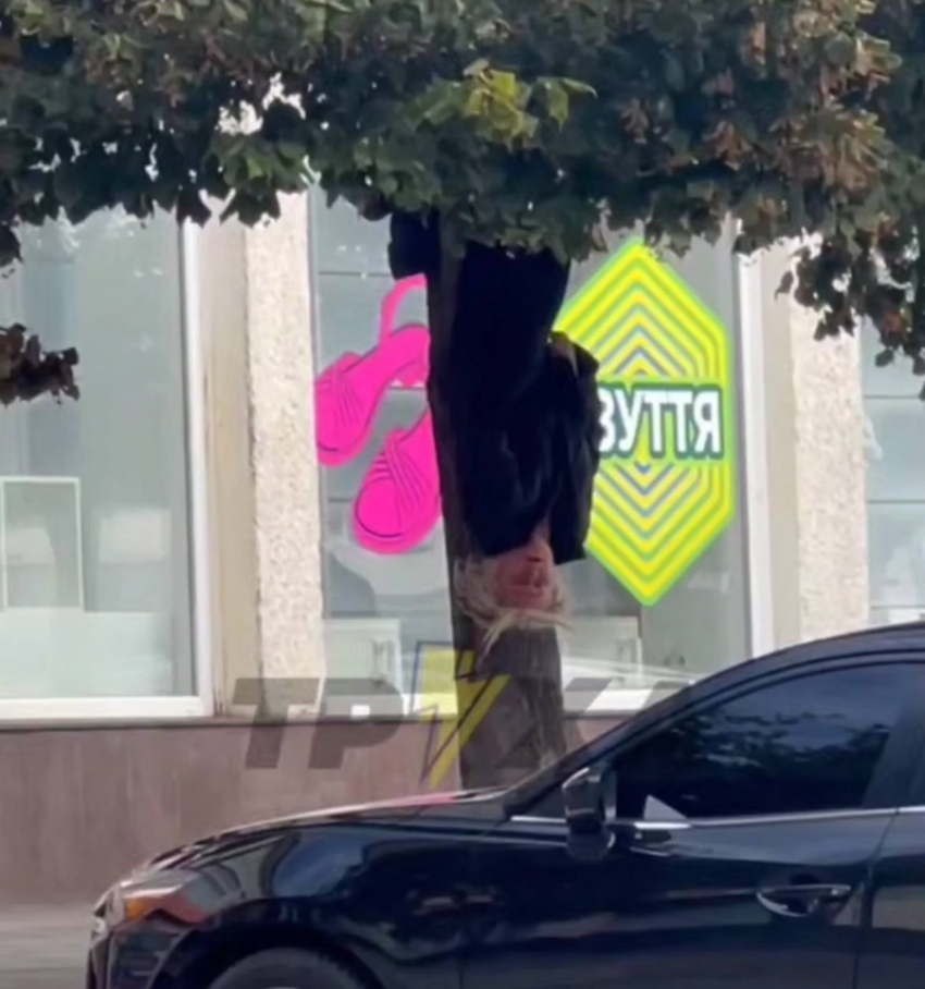 «Мышь летучая»: пенсионерка залезла на дерево и повисла вниз головой в Запорожье