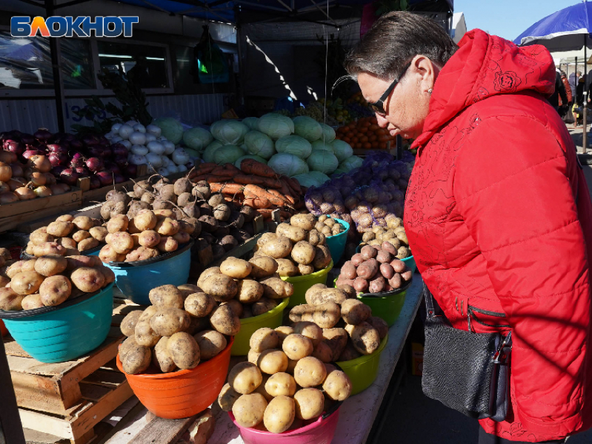 Военкоры обвинили властей Запорожья в игнорировании гуманитарной катастрофы