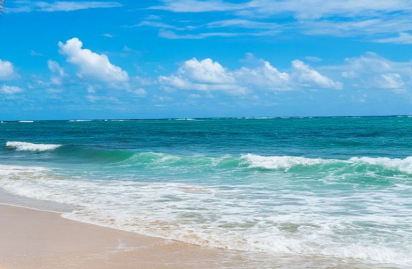 Круглогодичный курорт появится к 2035 году в Запорожской области