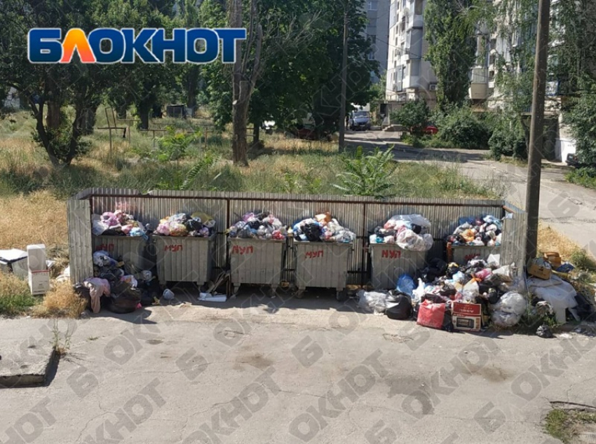 Директор «ЭкологияРесурс» объяснил «Блокноту», почему возникли проблемы с вывозом мусора в Васильевском округе