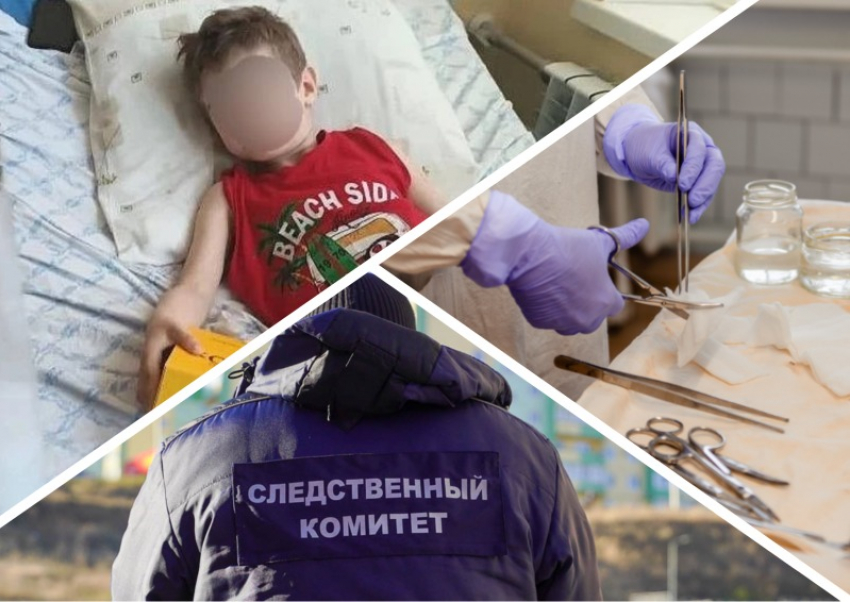 Травмы, операции и следственные проверки: что известно о нападении собаки на маленького мальчика в Каменско‑Днепровском округе