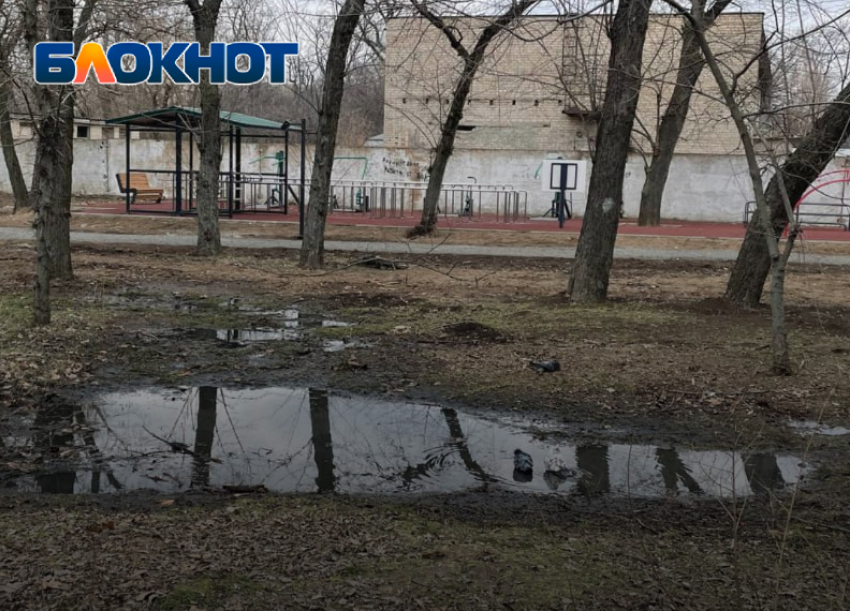 Жители Мелитополя пожаловались на жуткую вонь в «эко-парке»