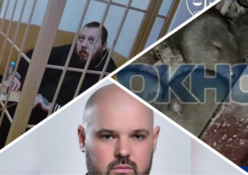 Новости Запорожья: лже-военный изнасиловал женщину, новый ректор и мыши в многоэтажке