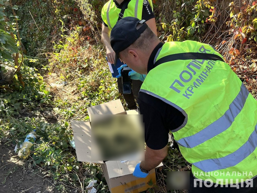 Запорожские полицейские изъяли у «наркоагрономов» вещества стоимостью 220 млн рублей